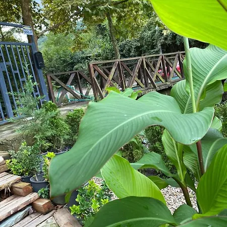 Silent Hill Bungalow Liebeshotel Sakarya (Marmara)
